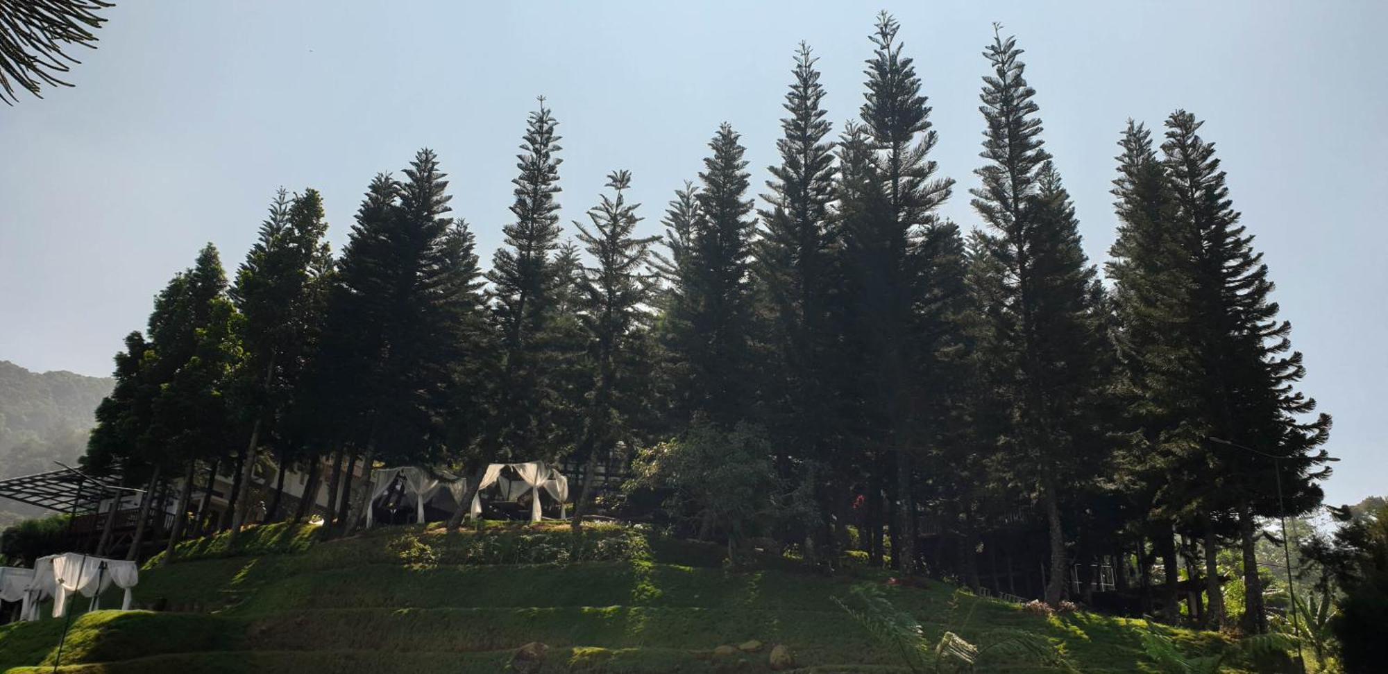 Damar Langit Resort Cisarua Esterno foto